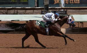Stolis Winner